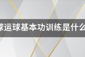 青少年篮球基本功训练书电子版